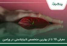 بهترین متخصص لابیاپلاستی در ورامین