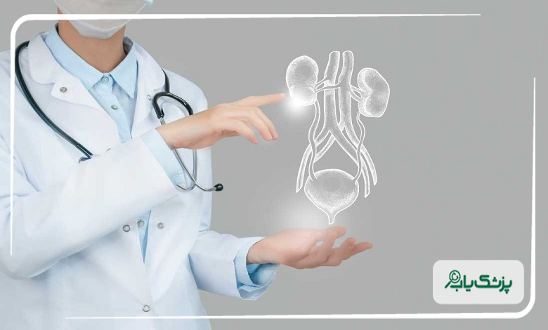 بیماری های تحت تخصص بهترین دکتر اورولوژی در ایران