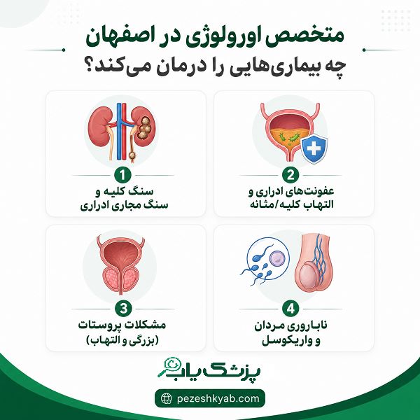 متخصص اورولوژی در اصفهان چه بیماریهایی را درمان میکند؟