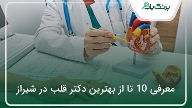 بهترین دکتر قلب در شیراز