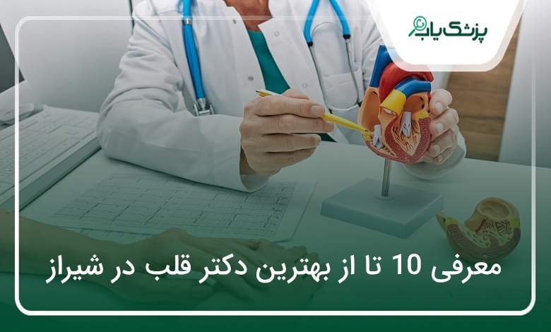 بهترین دکتر قلب در شیراز